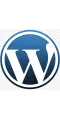 WordPress Themes